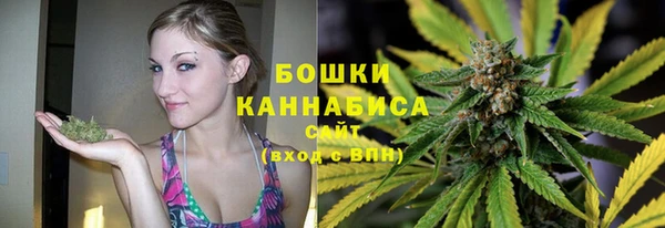 метадон Новодвинск