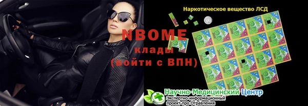 индика Алексин