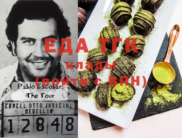 индика Алексин