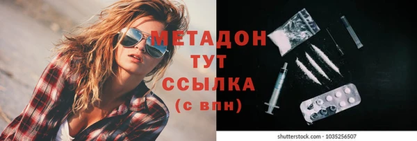 индика Алексин