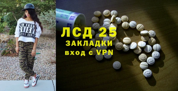 индика Алексин