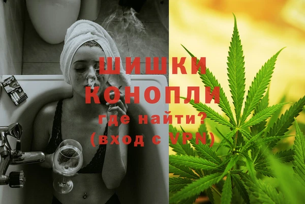 jwh Новозыбков
