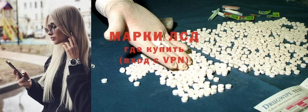 индика Алексин