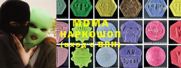индика Алексин