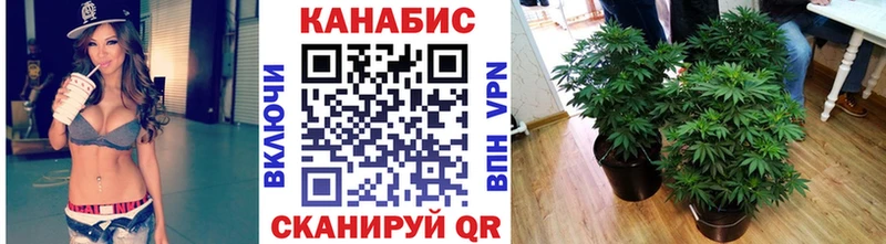omg маркетплейс  Пучеж  Каннабис OG Kush 